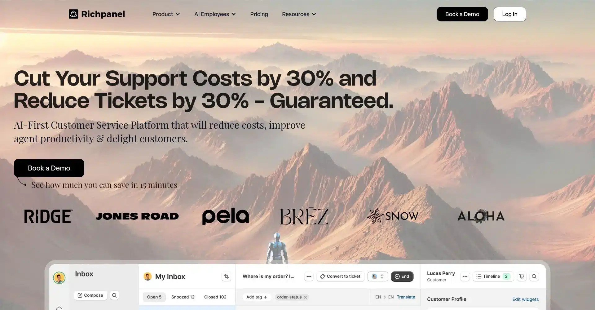 Captura de pantalla del sitio web de Richpanel mostrando beneficios de reducción de costos.
