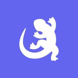 Logo Quizgecko