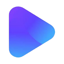 Logo Translate.video