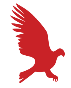 Logo Hawke AI
